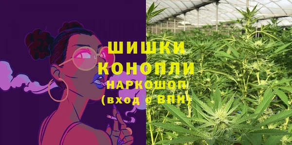амф Богданович