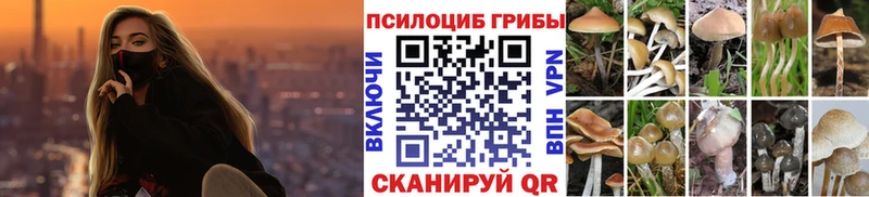 Галлюциногенные грибы MAGIC MUSHROOMS  Купить закладки  Киселёвск 